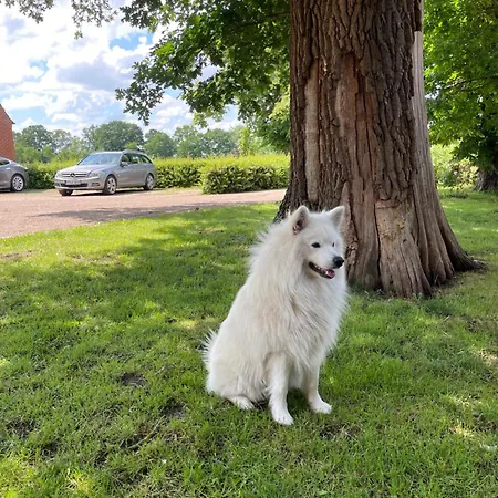 Appartement Land-loft *
