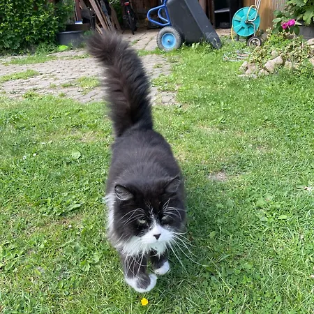 Land-loft Hilgermissen